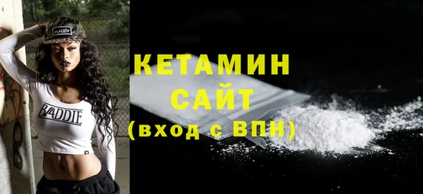 шишки Бородино