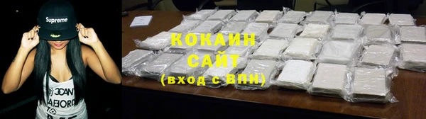шишки Бородино