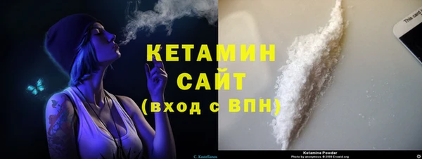 шишки Бородино