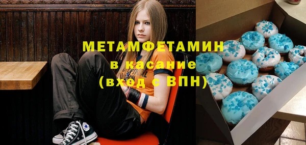 шишки Бородино