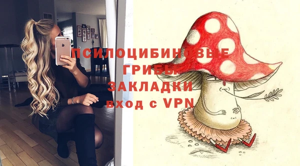шишки Бородино