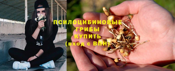 шишки Бородино